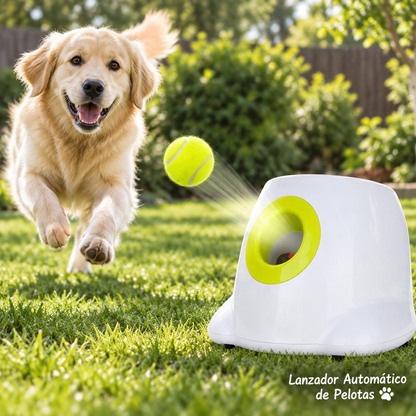 Lanzador Automático de Pelotas para Perros - Interactivo